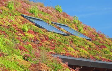 Kirknewton living roof systems